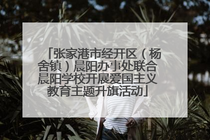 张家港市经开区（杨舍镇）晨阳办事处联合晨阳学校开展爱国主义教育主题升旗活动